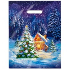 Пакет выр. 31х40 (60) НГ Ночное чудо, ламин (50/500) Интер